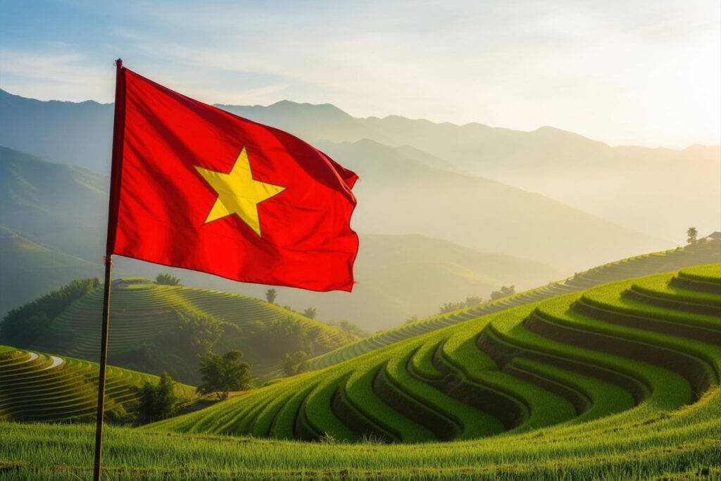 SEO優化｜好邁跨境搜尋科技